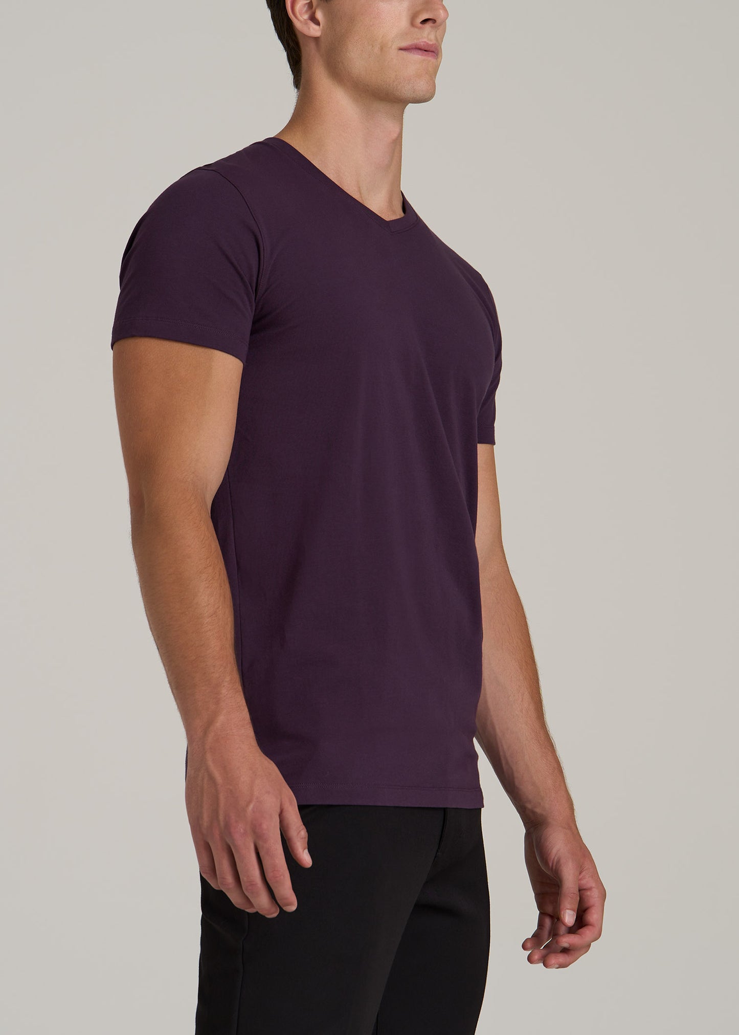 The Essential MODERN-FIT V-Neck Tee for Tall Men in Midnight Plum